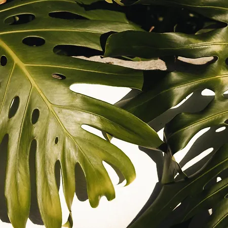 بيت للعطل Sea'ya Thoughtful - كاسكايس